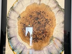 -金泽21世纪美术馆