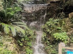-黔灵山公园