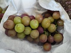 -马陆小张葡萄园农家乐