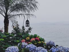 -东钱湖旅游度假区