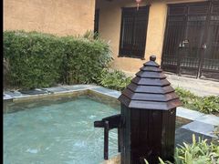 -崇阳三特浪口温泉