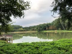 -福建鲤鱼洲酒店