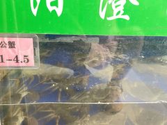 -阳澄湖大闸蟹·琼灵阁牌品牌连锁(吴中总店)