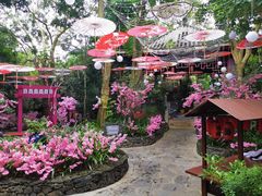 -海口观澜湖火山温泉谷