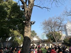 -上海鲁迅故居