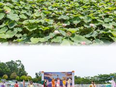 -广州莲花山旅游区