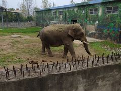 -西安秦岭野生动物园