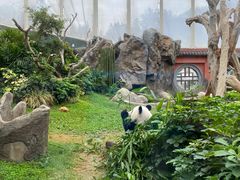 -香港海洋公园