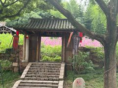 -太湖游船(石公山码头)