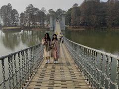 -东湖落雁景区