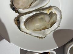 -蚝歌(中山七路店)