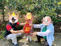 -塘栖枇杷特色园区