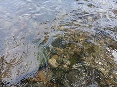 -北仑森林植物园