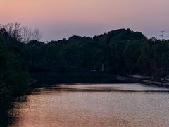 -上海海湾国家森林公园