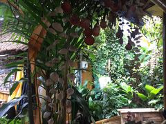 -Jungle Kitchen