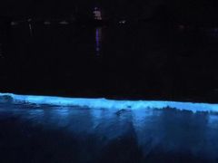 -阿弟特色海鲜餐厅·大排档(平潭店)