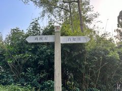 -火炉山森林公园