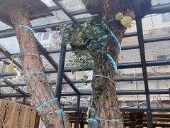 -海岛八号龙虾烧烤田鸡(蓝天路总店)