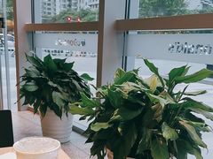 -麦当劳(北苑秋实路店)
