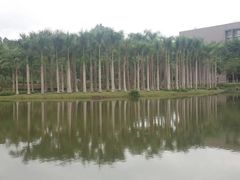 -北京师范大学(珠海校区)