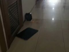 -江燕路万科里