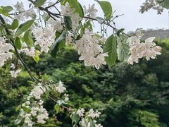 -黄山翡翠谷景区