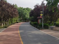 -大兴滨河森林公园