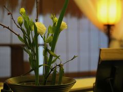 -普陀山雷迪森庄园