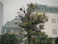 -桂林博物馆