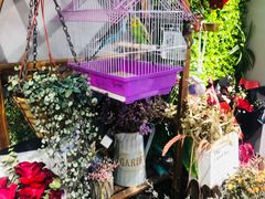-何兮花店·气球派对鲜花店(马桥银春路万科城店)