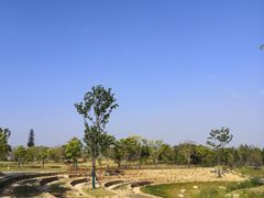 -盘龙城国家考古遗址公园