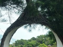 -东澳岛
