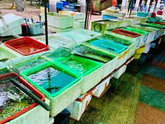 -外伶仃岛海鲜市场