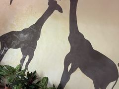 -海南热带野生动植物园