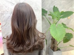 -悦SALON