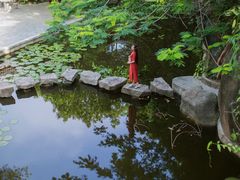 -深圳国际园林花卉博览园