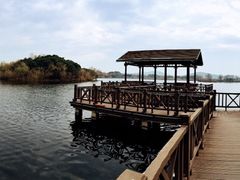 -上海市保健医疗中心(华东疗养院)