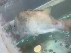 -雅逸居海鲜小厨