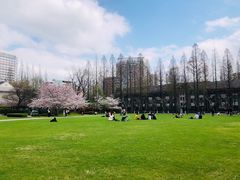 -复旦大学光华楼