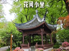 -上海醉白池公园