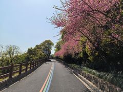 -杭州半山国家森林公园