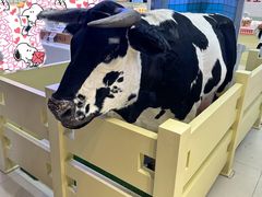 -红星前进面包牛奶公司(君太店)