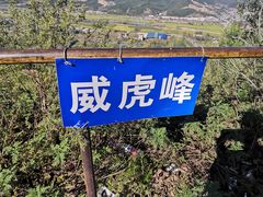 -玉泉威虎山森林公园
