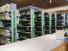 -长白山华美胜地滑雪场