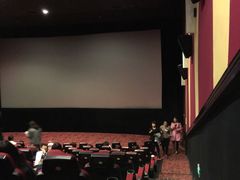 -AMG海上明珠影城(上海环球港RealDCinema店)