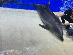 -石家庄极地海洋世界