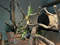 -曲廊院(东四十一条店)