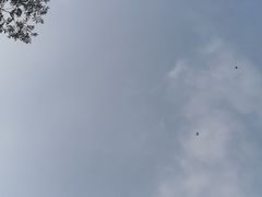 -东郊湿地公园