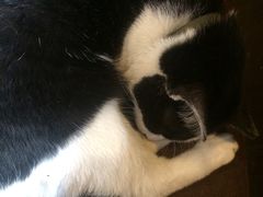 -猫的天空之城概念书店(杭州南宋御街店)