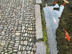 -前童古镇
